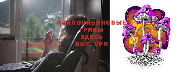 стафф Каменка