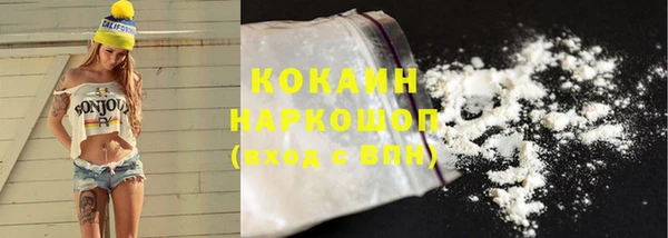 PSILOCYBIN Инта