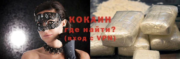 прущие грибы Иннополис