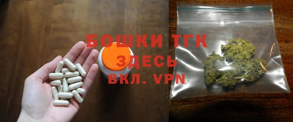 прущие грибы Иннополис