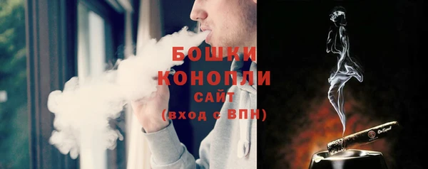 PSILOCYBIN Инта