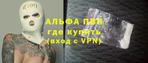 PSILOCYBIN Инта