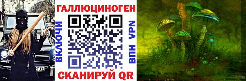Купить где  Гудермес  Псилоцибиновые грибы мухоморы 